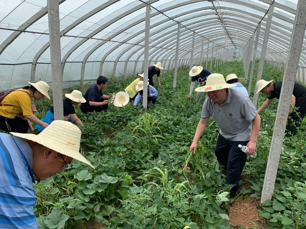 402cc永利官网