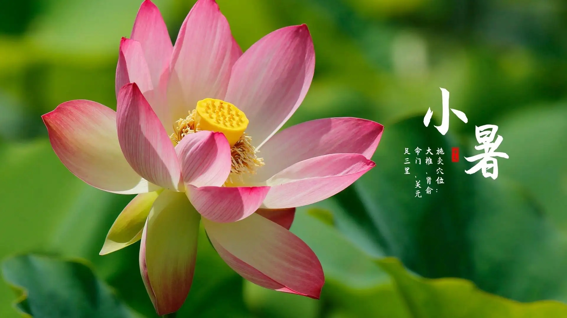 402cc永利官网